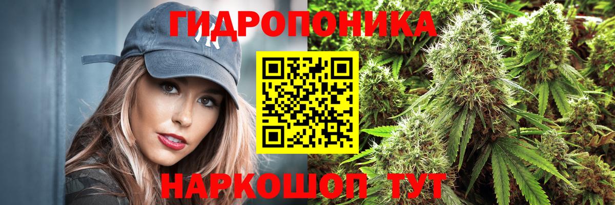 Красноярск  Конопля Ganja  Бошки Шишки VHQ  Вход с VPN  Бошки марихуана планчик  Марихуана марихуана 